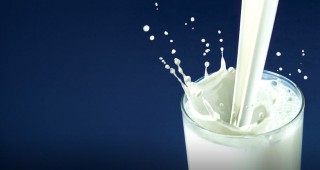 ЕС: Частното складиране на мляко остава до февруари