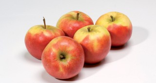 Елстар е любимият сорт ябълки на германците