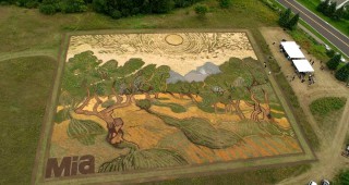 Произведение на Ван Гог пресъздадено на полето