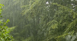 Жълт код за обилни валежи в 6 области на страната