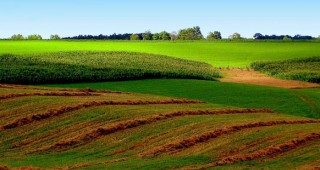 Фонд Земеделие намали лихвите за новите кредити в селското стопанство