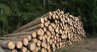 Седем акта за един ден съставиха горски служители от Варна
