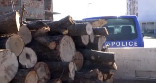 Инспектори на ИАГ заловиха трима нарушители и 9 куб. незаконна дървесина
