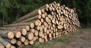 Инспектори от РДГ Велико Търново задържаха 20 куб. м. незаконни дърва за огрев