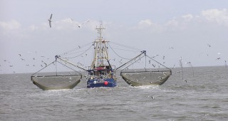 ДФЗ подпомага риболовци за унищожаване на стари кораби