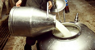 МЗХ публикува Проектонаредбата за разпределяне на извънредната Европейска помощ за млечния сектор