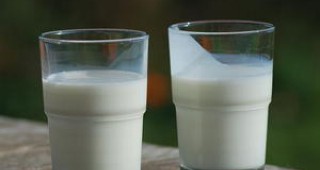 От днес започва прием на заявления по схема Училищно мляко
