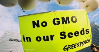 20 години на ГМО провали