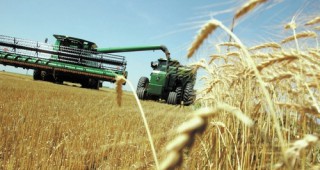 Прогноза: По-малко площи с пшеница през 2016 г.
