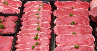 СЗО е виновна за ниските цени на месото в Германия