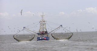 По-големи квоти за рибни популации в Атлантическия океан и Северно море