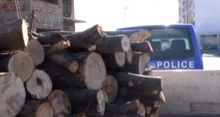 Горски инспектори задържаха 8 кубика незаконно добити дърва