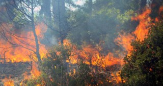 Повече от 20 горски пожара от началото на месец ноември