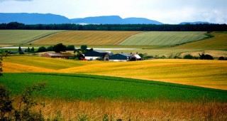 Състояние и тенденции на пазара на земеделска земя в България