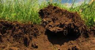 Нова информационна система носи надежда за подобряване състоянието на почвите в Македония