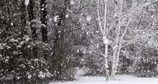 Ниски температури и валежи от сняг в Северозападна България