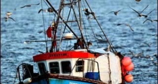 ИАРА приема декларации за изразяване на интерес от потенциални рибарски групи