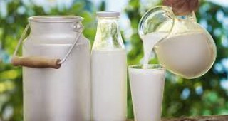 Ситуацията на европейския млечен пазар продължава да се влошава
