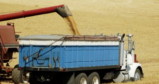 ЕС изостава с износа на пшеница