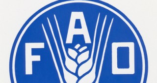 Индексът на цените на храните на ФАО падна отново през декември
