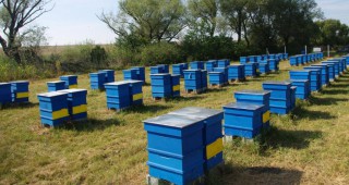 По 2 500 лева на година ще получават пчеларите у нас за закупуване на дребен инвентар