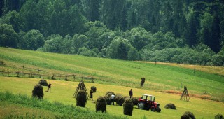 Милиард и половина евро допълнително ще има за аграрния сектор и селските райони в Германия