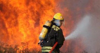 Птици и фураж изгоряха при пожар в пловдивско село