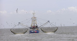 Борбата с бракониерството в рибарския сектор в Европейския съюз дава положителни резултати
