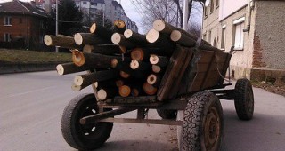 Горските инспектори от Варна съставиха 10 акта за незаконна дървесина