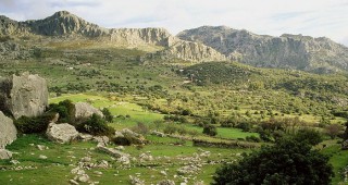 Баюви дупки – Джинджирица е един от най-старите резервати в България