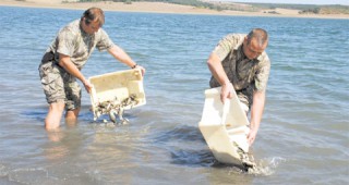 Габровско Ловно-рибарското дружество пусна 20 хиляди шаранчета в пет водоема