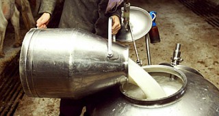 Проблемите в млечният сектор и производството на млечни продукти се задълбочават