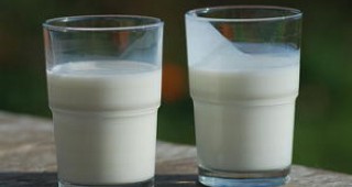 ЕС отделя с 20 млн. евро повече по училищните програми за мляко и плодове