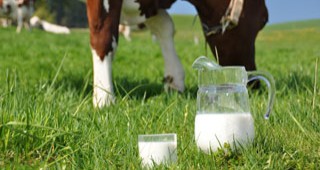Ситуацията в сектор мляко обсъждат животновъди на среща в Сливен