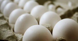 Без промяна остават средните цени на яйцата