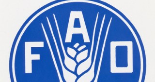 ФАО призова за нов подход срещу световния глад