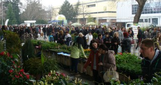 Дизайнът на градината е акцент на изложението Цветна пролет 2016 в Пловдив