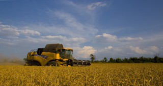 ДФ Земеделие одобри правилата за рефинансиране на проекти по програмата за селските райони
