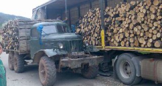 Горските инспектори от РДГ-Благоевград съставиха 5 акта по Закона за горите