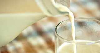 Над 200 тона мляко на българския пазар, внос от страни-членки на ЕС, не отговаря на необходимите изисквания