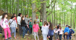 80 деца от Габрово и Севлиево станаха лесовъди за един ден на Лъгът