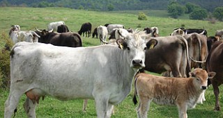 Срещa-обучение на животновъди в Ямбол и Сливен