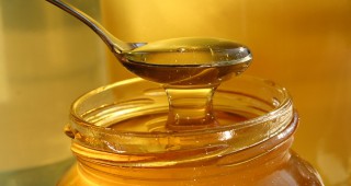 Слаба реколта и увеличение на цената на меда прогнозират пчелари