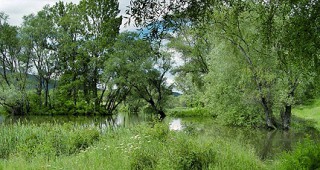 50 терена са почистени след проверките на речните корита на територията на РИОСВ-Русе