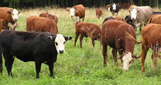 Министър Найденов проведе работна среща с животновъди от страната