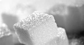 Без промяна остават средните цени на бялата кристална захар