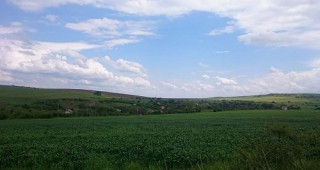 С близо 7 % се е увеличила цената на земеделската земя в Шуменска област през последната година