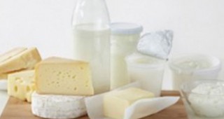 Българска компания подписа договор за износ на млечни продукти в Китай