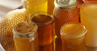 Заради студената и дъждовна пролет българските пчелари не са успели да добият акациев мед