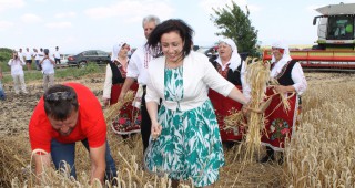 Министър Танева: През тази година има увеличение на площите със зърнено-житни култури